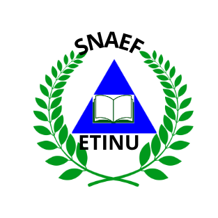 snaefeduc.org